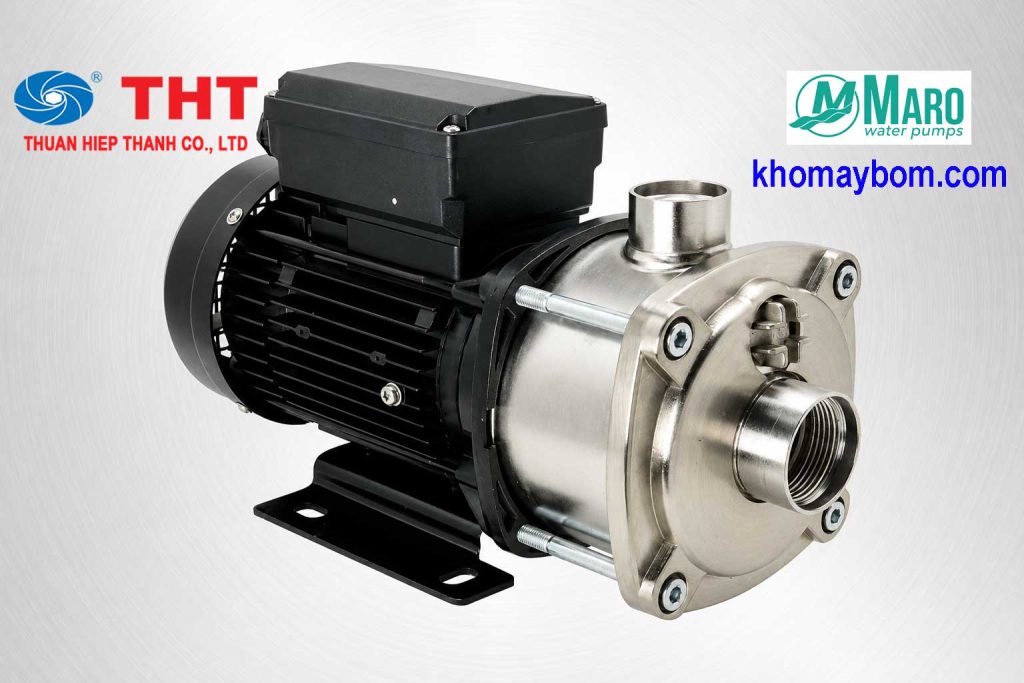 Bơm trục ngang đầu Inox