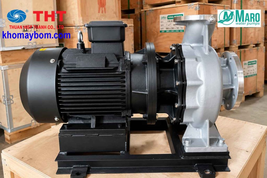 Bơm trục ngang đầu Inox Maro