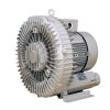 Máy thổi khí con sò DG-300-11 0.75kW 220V